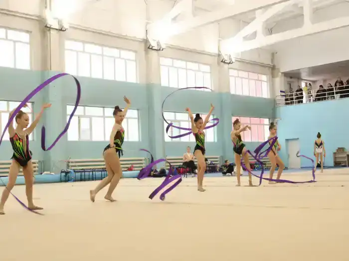 В Усть-Каменогорске проходит чемпионат ВКО по художественной гимнастике (4)