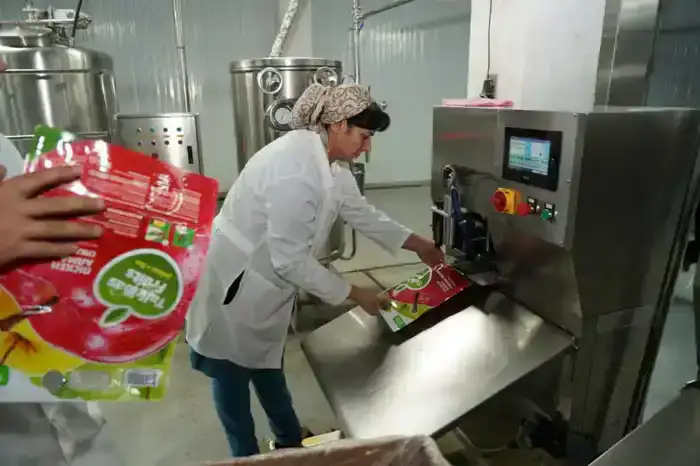 В Туркестанской области начал работу новый завод по переработке фруктов и ягод