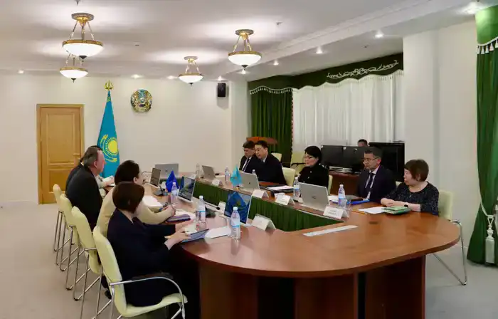 С. Жакупова презентовала экспертам ПРООН скоринговую модель (2)