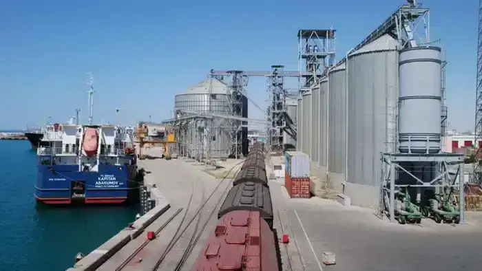 Рост перевалки зерна через Ак Бидай-Терминал: последствия для аграрного сектора Казахстана