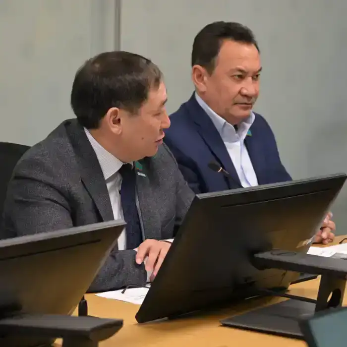 С нового года - к новым задачам и проектам (3)