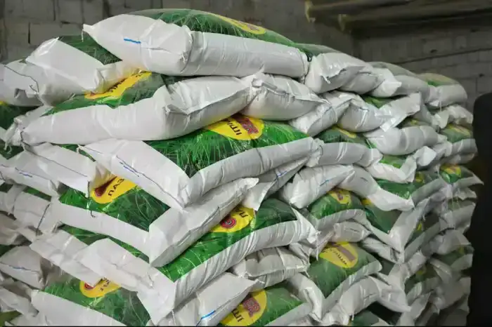 Цех по переработке риса запустили в Туркестанской области (2)