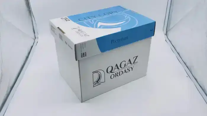 Производитель бумаги «Qagaz Ordasy» в Шымкенте стремится к росту и расширению продукции (2)