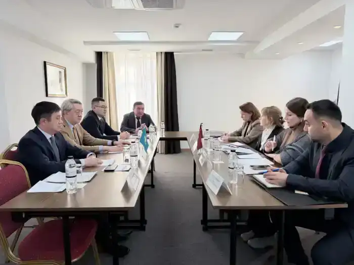 Встреча экспертов по вопросу взаимного признания программ Уполномоченных экономических операторов Республики Казахстан и Турецкой Республики (3)