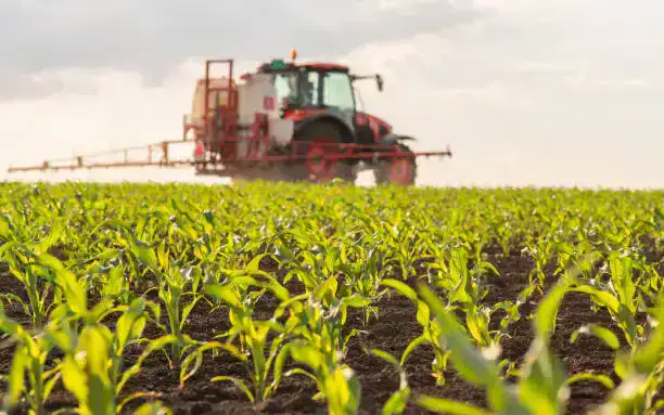 Увеличение государственной поддержки аграрного сектора в Алматинской области: стратегическое значение для экономики региона