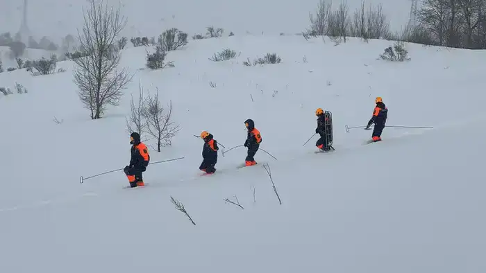 Спасательные подразделения МЧС провели учения в лавиноопасный сезон (4)