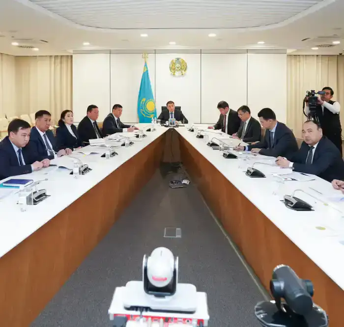 В ТУРКЕСТАНСКОЙ ОБЛАСТИ ЗА ТРИ ГОДА В РАМКАХ ПРОГРАММЫ «АУЫЛ АМАНАТЫ» ПРОФИНАНСИРОВАНО ОКОЛО 4000 ПРОЕКТОВ (7)