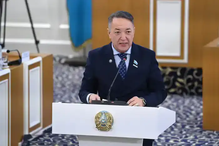 Конституционная реформа: Перезагрузка парламента в поисках демократического света