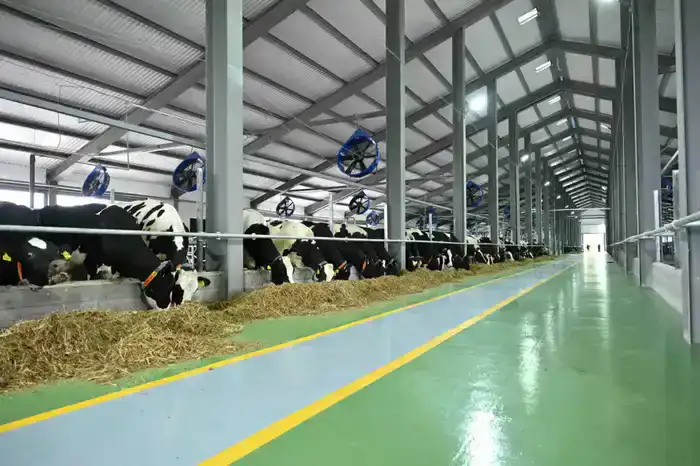 СОЦИАЛЬНЫЕ УЧРЕЖДЕНИЯ ТУРКЕСТАНСКОЙ ОБЛАСТИ ПЕРЕХОДЯТ НА МЕСТНУЮ ПРОДУКЦИЮ (9)