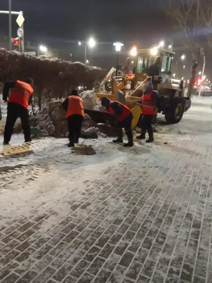 Более 1 100 единиц спецтехники задействовано в снегоуборочных работах в Астане (9)