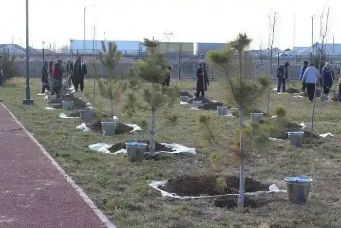 Улучшение дорог и чистоты в Туркестанской области программы Таза Қазақстан