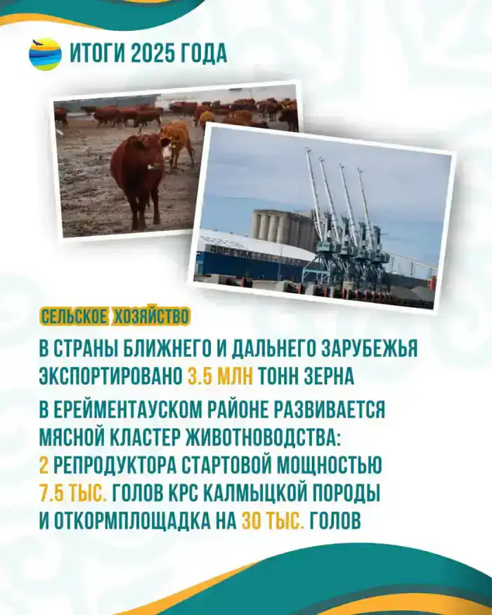 7,6 миллиона тонн: Акмолинская область на пике урожая!