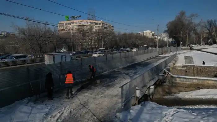 В Алматы при строительстве велопешеходного моста через Есентай будет высажено 80 деревьев и 50 кустарников