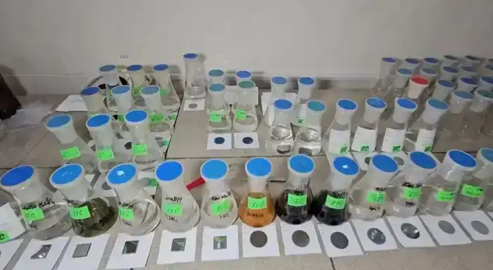 Впервые вуз ВКО принимает участие в программе Horizon Europe (7)