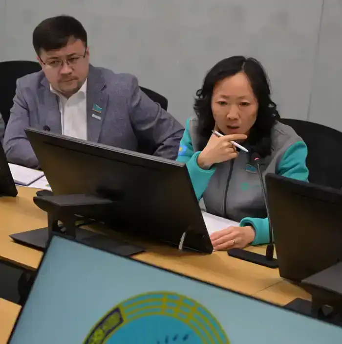 С нового года - к новым задачам и проектам (7)