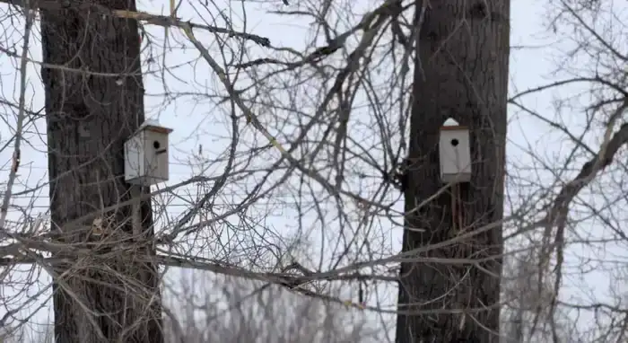 В области Абай прошла экологическая акция «Берегите природу» (3)