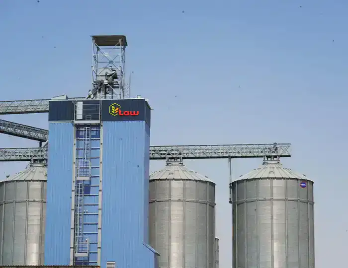 Регионы увеличат посевы социальных овощей и кукурузы в 2026 году (2)