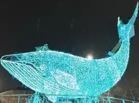 В Центральном парке Караганды появится открытый бассейн и музыкально-огненный фонтан (10)