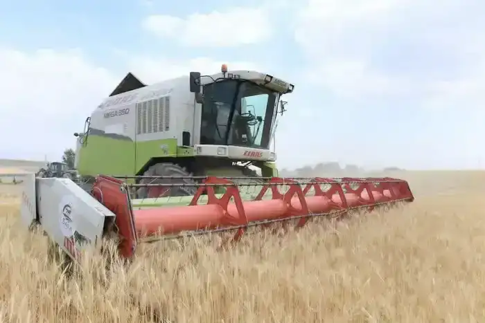 В ТУРКЕСТАНСКОЙ ОБЛАСТИ ЗА ТРИ ГОДА В РАМКАХ ПРОГРАММЫ «АУЫЛ АМАНАТЫ» ПРОФИНАНСИРОВАНО ОКОЛО 4000 ПРОЕКТОВ (2)