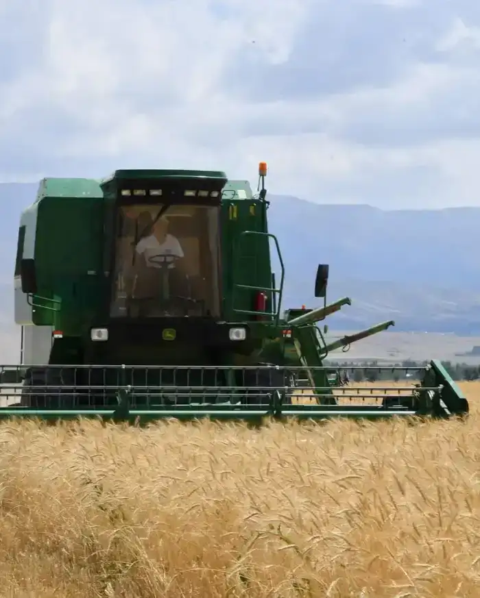 ИТОГИ ГОДА: ТУРКЕСТАНСКАЯ ОБЛАСТЬ СТАЛА ЛИДЕРОМ В РЕСПУБЛИКЕ ПО ОБЪЁМУ СЕЛЬСКОХОЗЯЙСТВЕННОЙ ПРОДУКЦИИ (3)