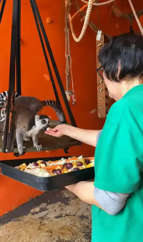 В Алматинском зоопарке увеличилось количество новых видов животных и растёт число посетителей (3)