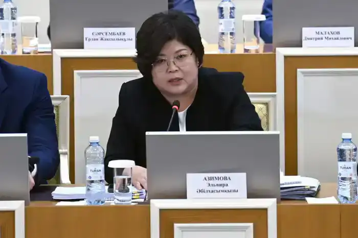 В Астане Конституционная комиссия начала обсуждение изменений в Основной закон Казахстана