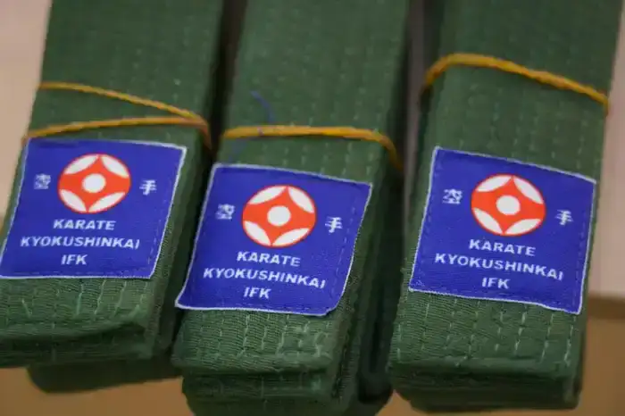 Звезды карате: юные бойцы получают свои пояса!