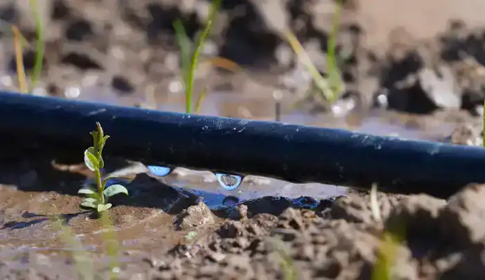 ЭКОНОМИЯ ВОДЫ – ВОПРОС НАЦИОНАЛЬНОЙ БЕЗОПАСНОСТИ: РЕАЛИЗАЦИЯ ПОРУЧЕНИЙ ПРЕЗИДЕНТА В РЕГИОНЕ ПРИНОСЯТ КОНКРЕТНЫЕ РЕЗУЛЬТАТЫ (8)