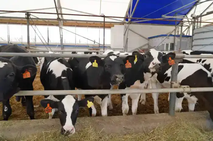 Акмолинская область лидирует по инвестиционному росту