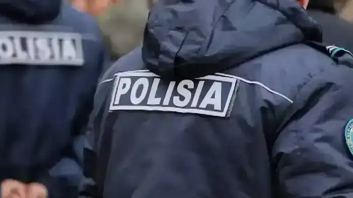 Пиротехническое шоу, концерты и строгий контроль: в новогоднюю ночь в Астане дежурили более 3 тысяч полицейских (2)