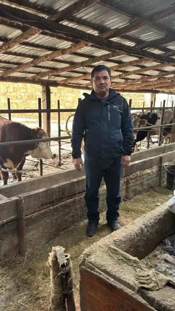 Вклад Мухамеддауита Косаева в продовольственную безопасность региона через развитие скотоводства в Отырарском районе