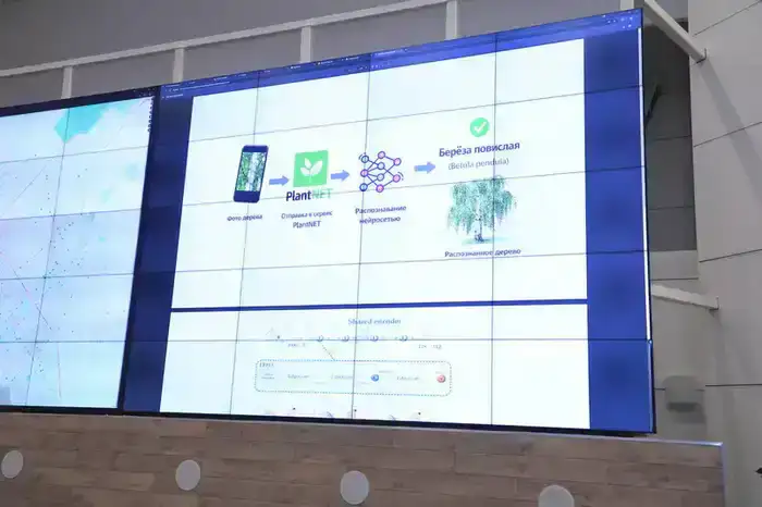 В Карагандинской области внедрили цифровые сервисы для мониторинга цен, связи и городского хозяйства (4)