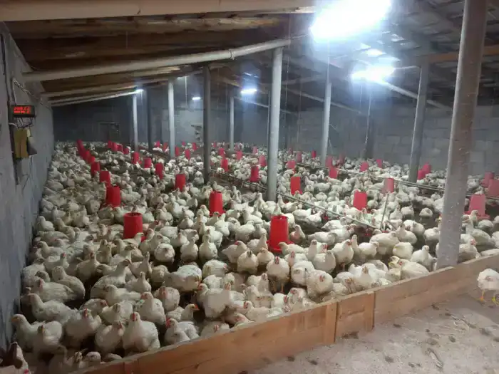 В ТУРКЕСТАНСКОЙ ОБЛАСТИ ОТКРОЮТСЯ НОВЫЕ ЗАВОДЫ И РАБОЧИЕ МЕСТА (5)