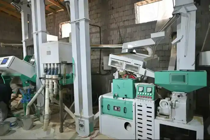 В Жетысае открыт новый рисоперерабатывающий цех с инвестициями 190 млн тенге