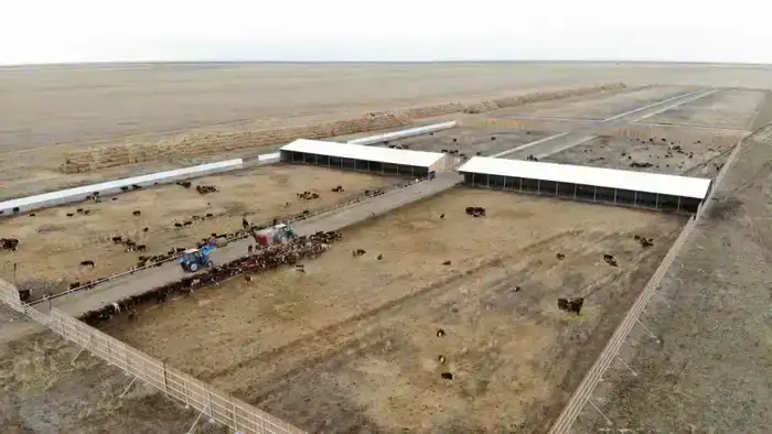 В Аксуатском районе ведется строительство нескольких объектов предпринимательства (5)