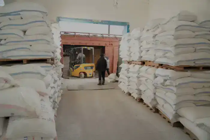 В ТУРКЕСТАНСКОЙ ОБЛАСТИ МОДЕРНИЗИРОВАН И ЗАПУЩЕН СОВРЕМЕННЫЙ ЗАВОД ПО ПЕРЕРАБОТКЕ ПШЕНИЦЫ (3)