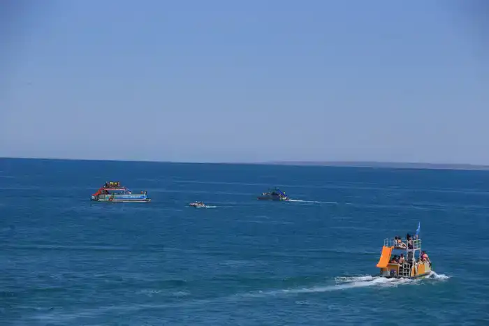 3 фестиваля области Жетісу вошли в cобытийный календарь культурно-туристских мероприятий Министерства туризма и спорта (9)