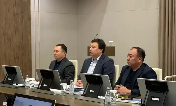 Эффективность межведомственного взаимодействия: итоги встреч акима области с руководителями