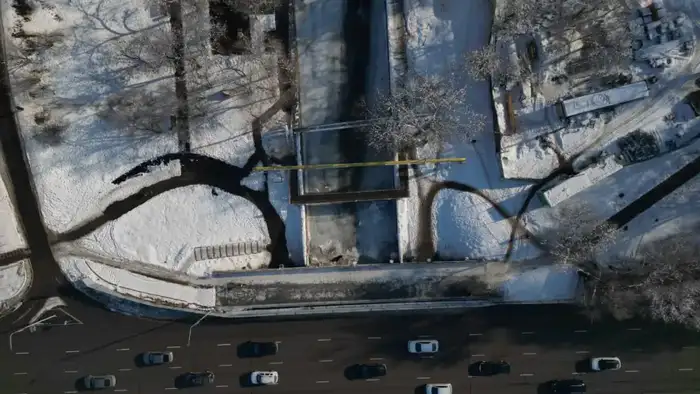 В Алматы при строительстве велопешеходного моста через Есентай высадят 80 крупномерных деревьев (3)