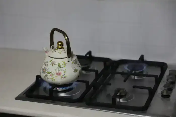 Газификация 64-го поселка в Мактааральском районе Туркестана