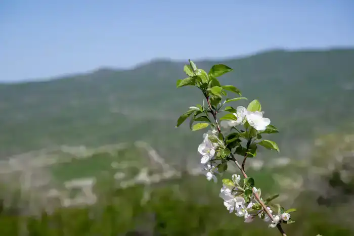Экологический туризм в Жетісу: число посетителей национальных парков за год достигло 40 тыс. человек (4)