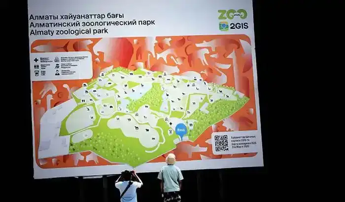 Использованные новогодние ёлки помогут создать более комфортные условия для животных в Алматинском зоопарке