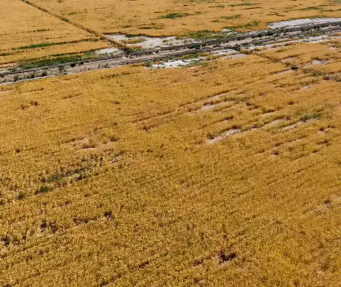 Экономия воды в Туркестанской области: достижения в реализации президентских поручений и их влияние на ресурсное обеспечение региона