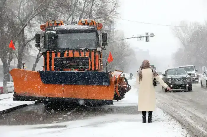 Экологическая симфония: школьники Алматы создают гармонию с природой через челлендж
