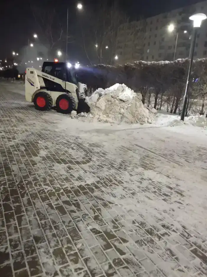 Более 1 100 единиц спецтехники задействовано в снегоуборочных работах в Астане (10)