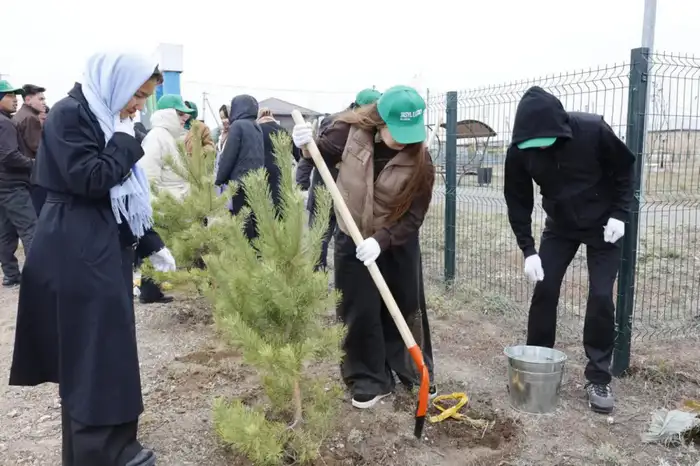 Экологические семена будущего: 37 инициатив для чистоты Акмолинской области в 2026 году