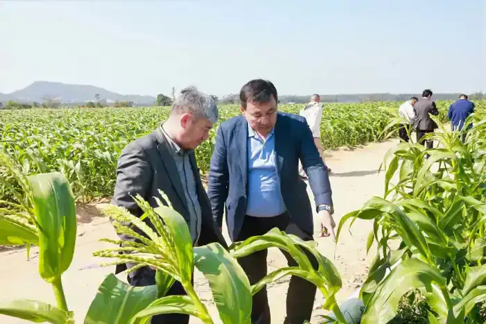 Кызылординская область расширяет сотрудничество с Китаем в агропромышленной сфере (4)