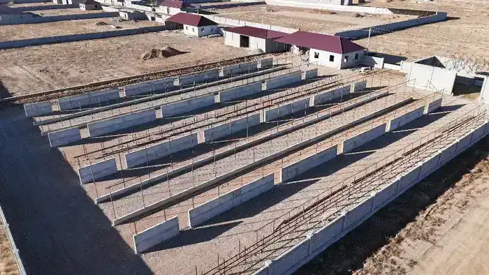 В Сауранском районе Туркестана строят 136 производственных зданий, инвестиции составляют 71,4 млрд тенге