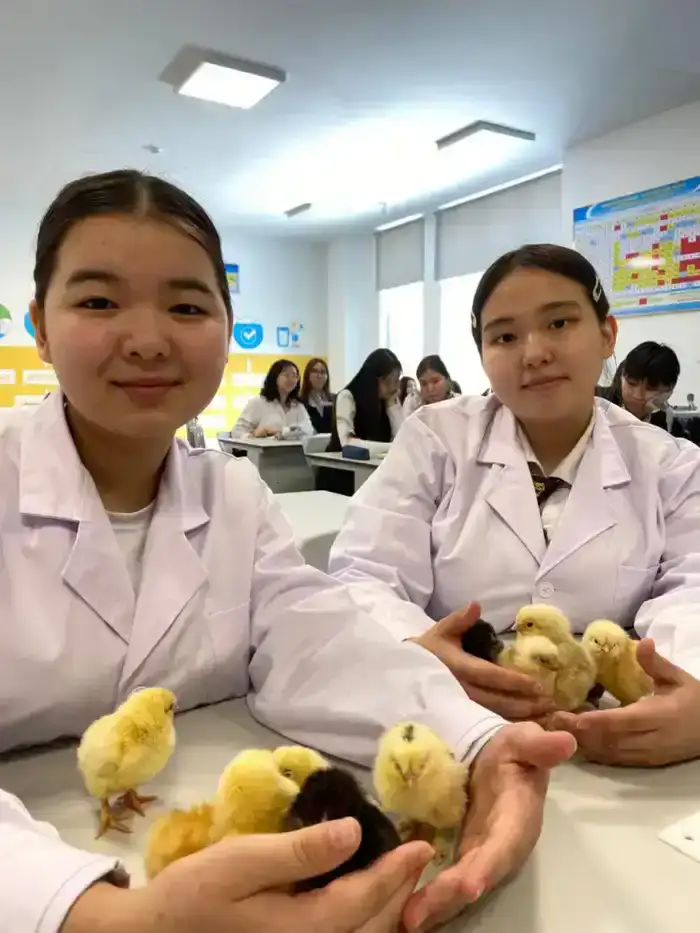 В Астане школьники самостоятельно вывели цыплят из инкубатора (3)