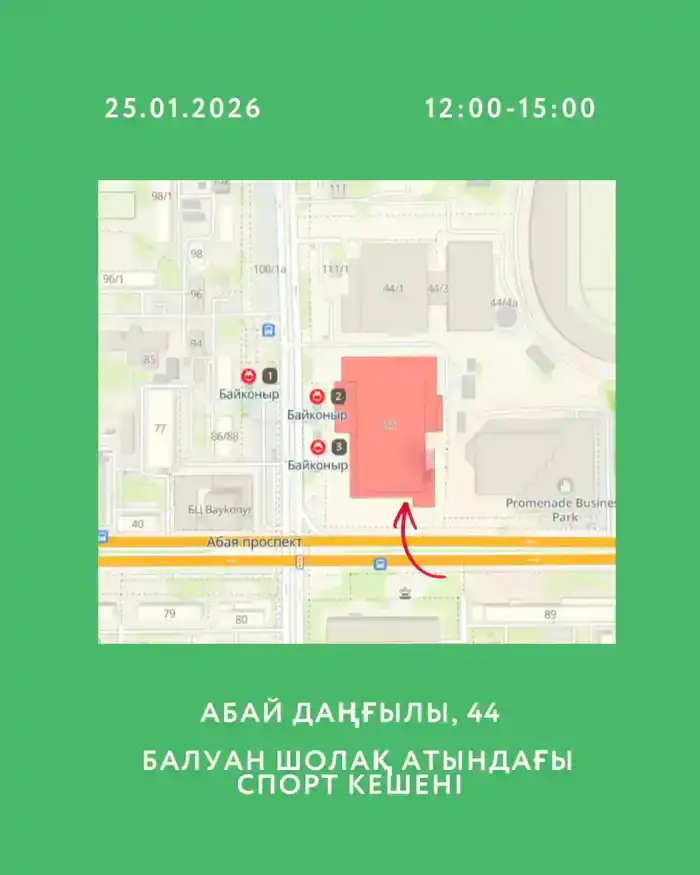 В Алматы пройдет открытое экомероприятие Recycle Birge (2)